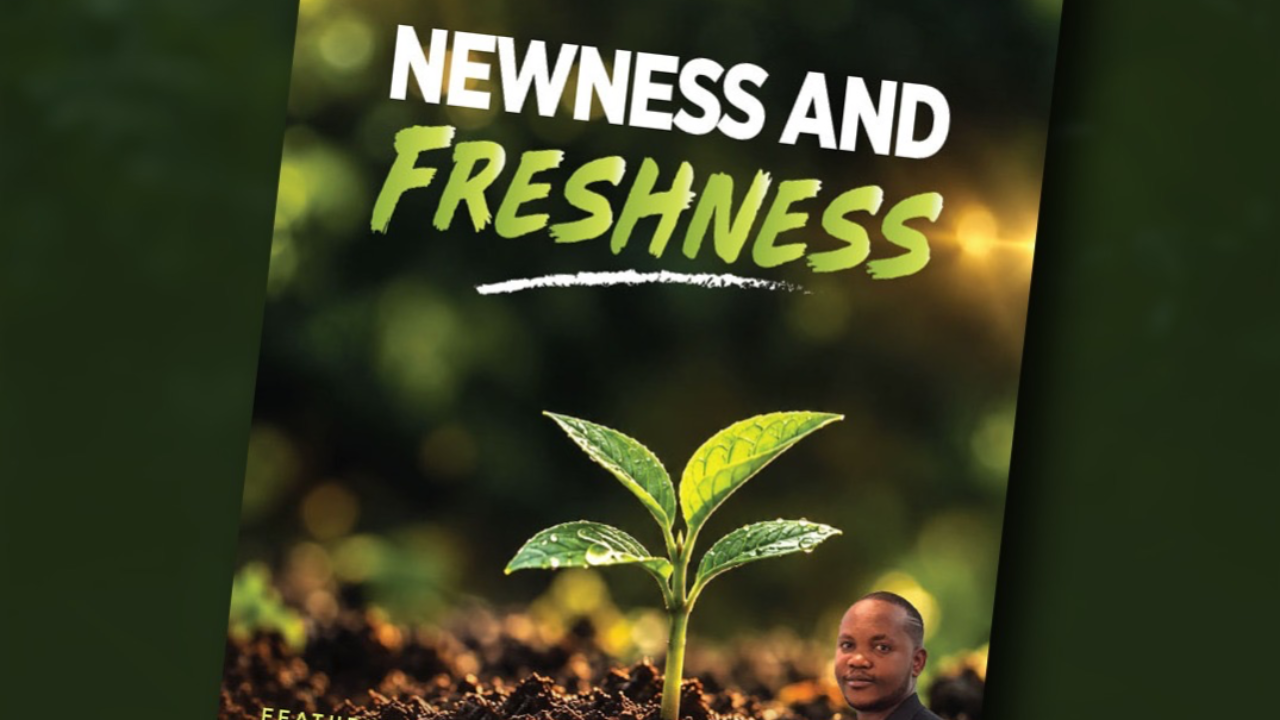 NEWNESS & FRESHNESS - OCT-DEC 2026 EDITION